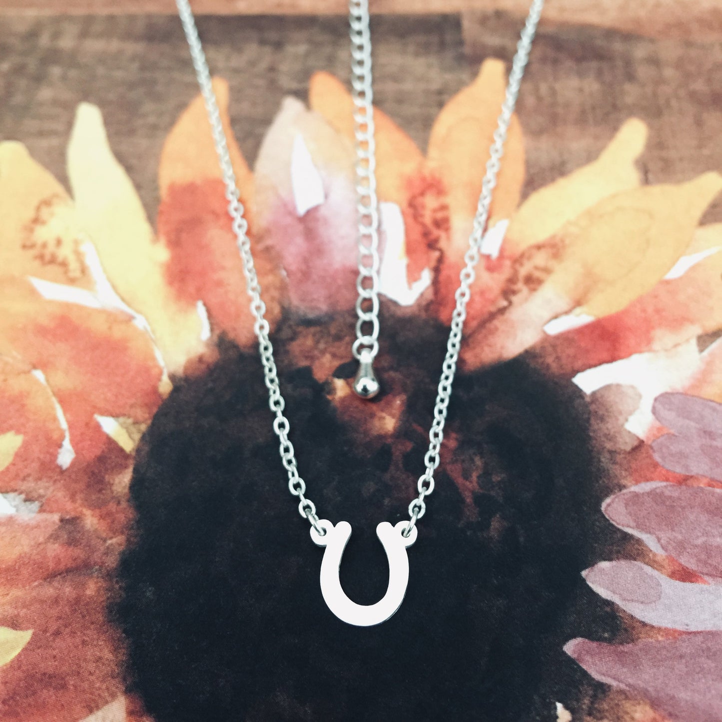 A silver horseshoe-shaped necklace displayed against a floral background.