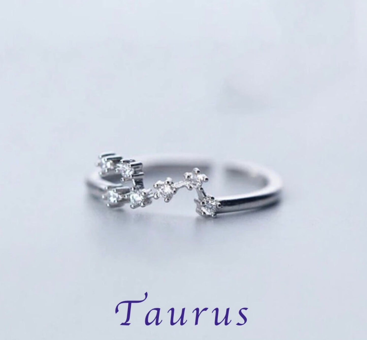 Zodiac Adjustable Rings