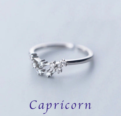 Zodiac Adjustable Rings