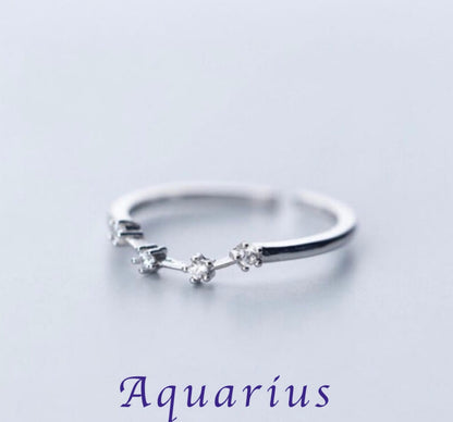 Zodiac Adjustable Rings