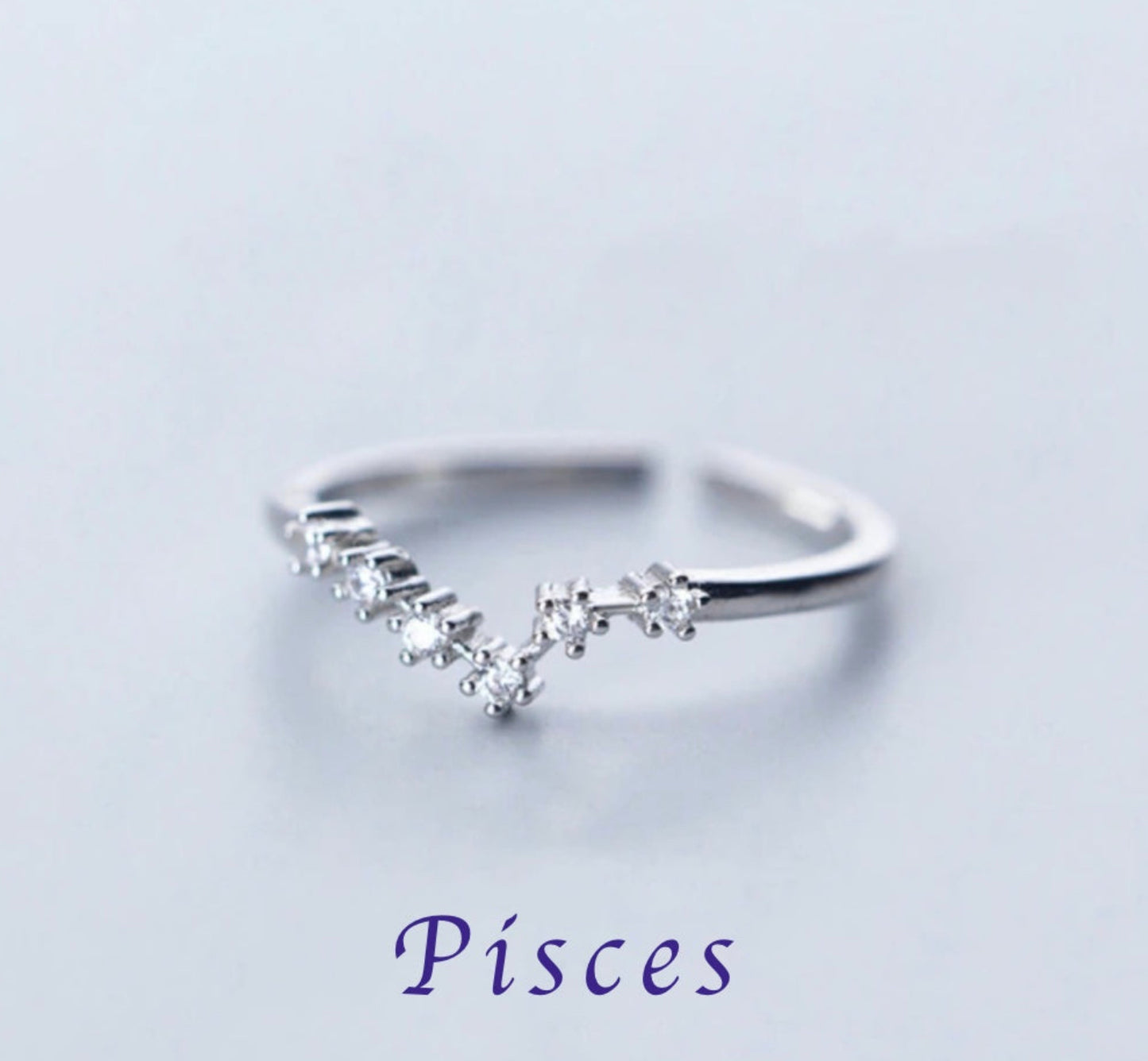 Zodiac Adjustable Rings