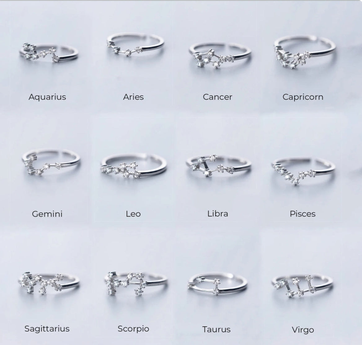 Zodiac Adjustable Rings