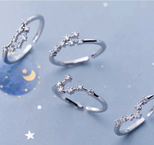 Zodiac Adjustable Rings