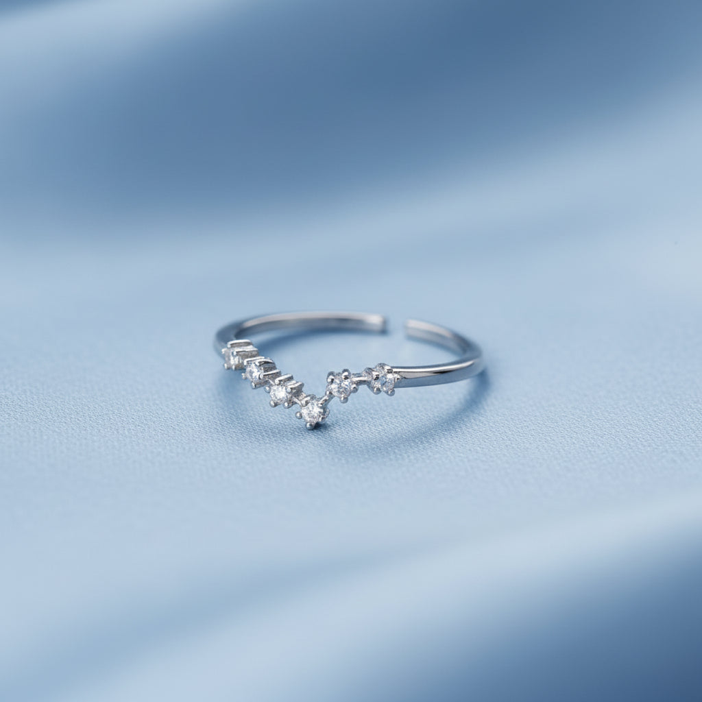 Silver Pisces Zodiac Ring on a light blue background