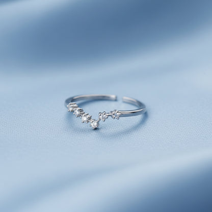 Silver Pisces Zodiac Ring on a light blue background